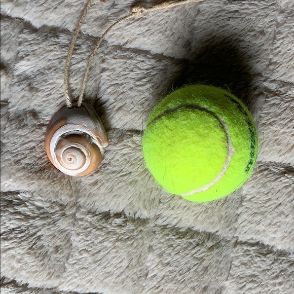 Shell Necklace - Picture 3 of 4